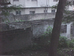 Lagos View