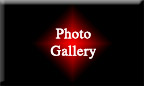 Visit the Photo Gallery